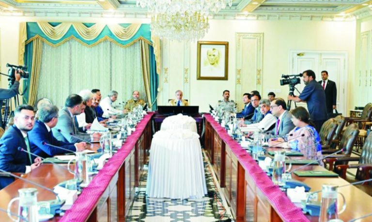 Small and medium-sized enterprises play an important role in the economy. Shahbaz Sharif.