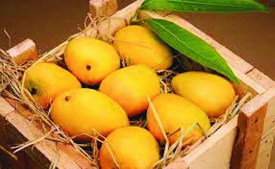 Mango