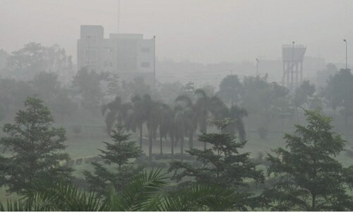 green corridor