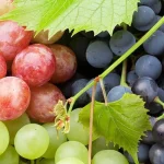 grapesone