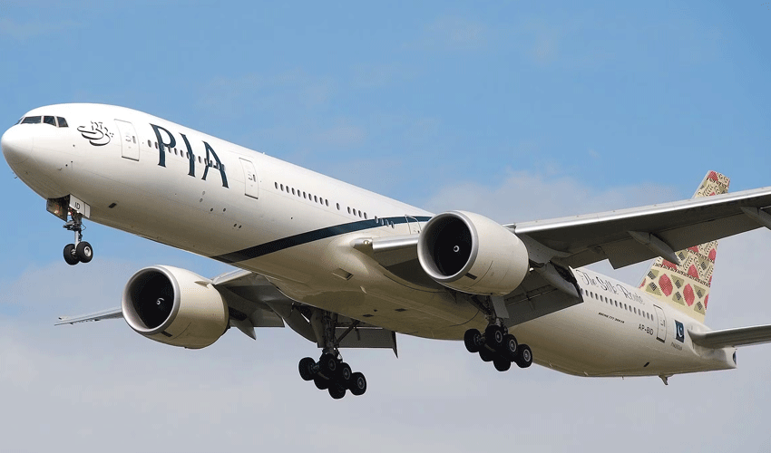 pia-one1