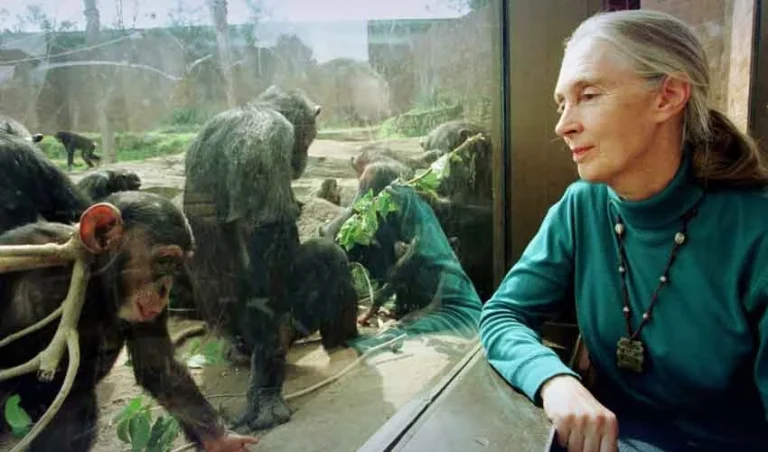 jane-goodall-dies