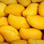 multan-mango-orchards-destroyed