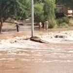 pdma