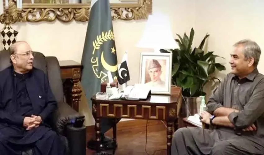 president-zardari-and-mohsin-naqvi